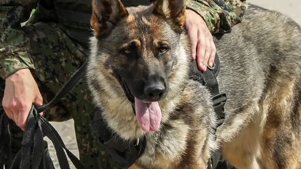 Фото: пресс-служба Минобороны РФ