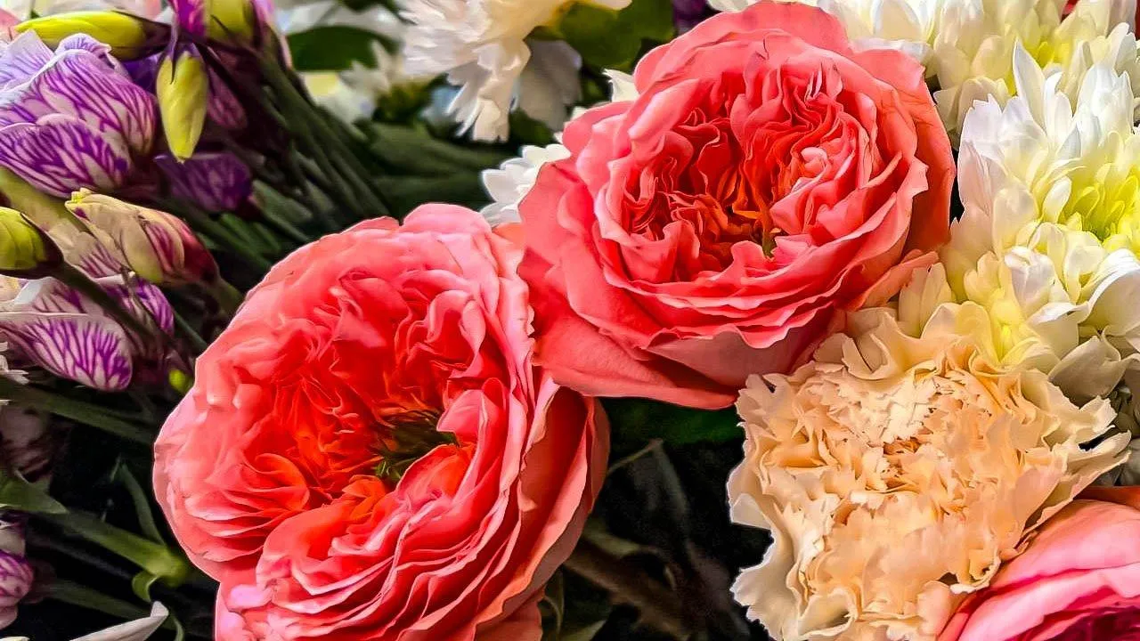 REGIONS/Дарина Левкина