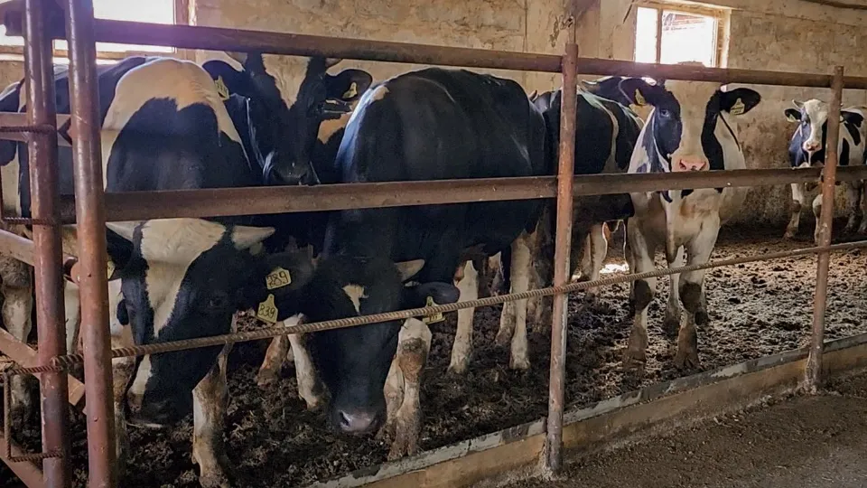 Фото: Ольга Антонова