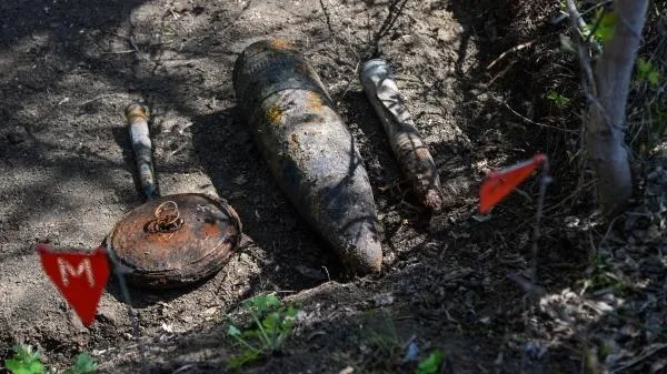 Боеприпасы времен войны обнаружили в Волоколамском округе
