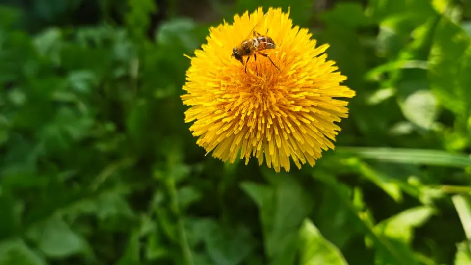 Фото: REGIONS/Ольга Никитина