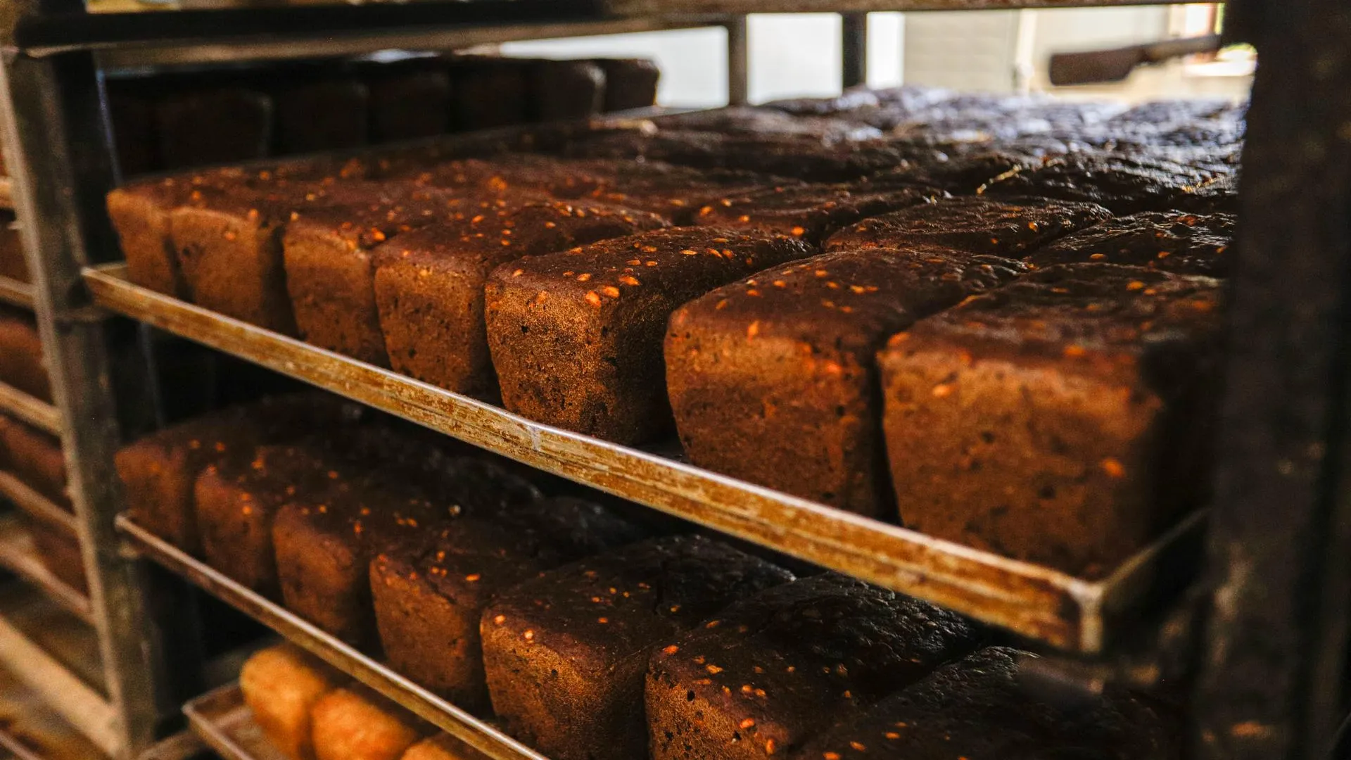 Фото: Елена Артемьева