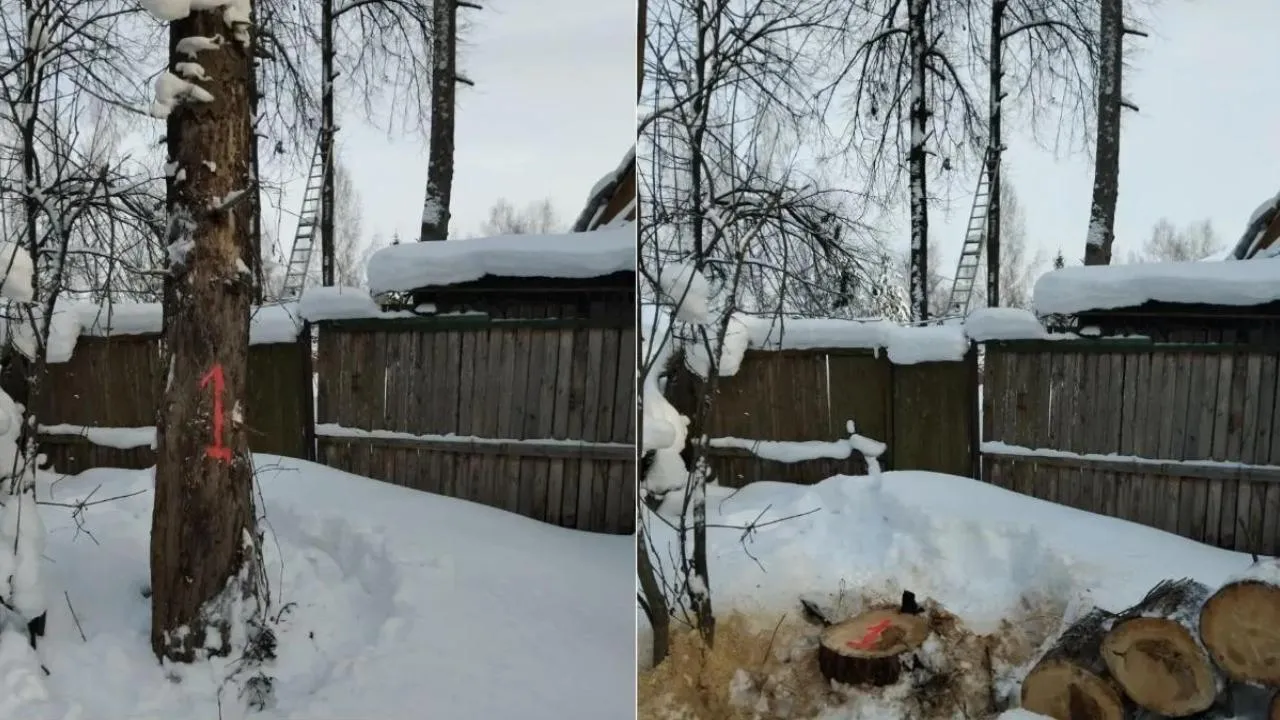 Комитет лесного хозяйства Московской области