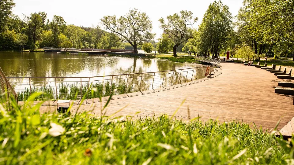 Фото: Министерство благоустройства Московской области