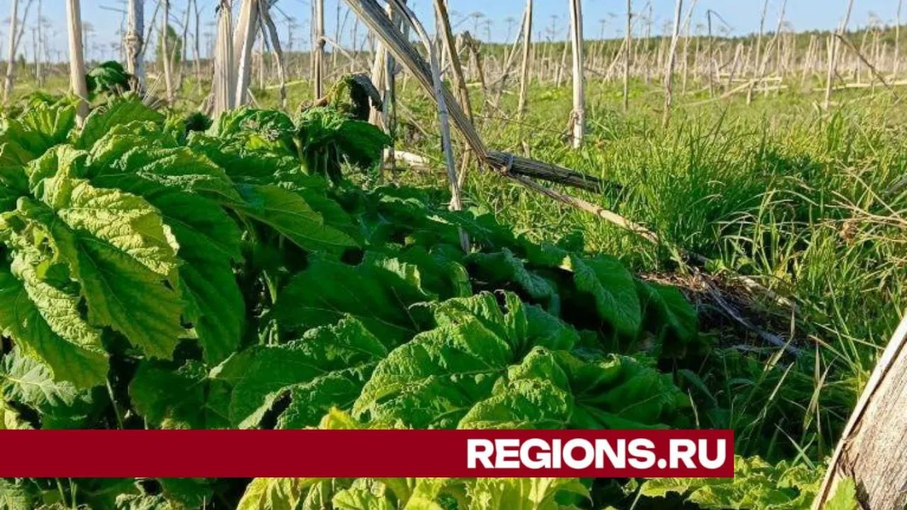Фото: Евгений Рой