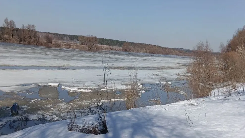 Фото: t.me/serpukhov_serpuhov