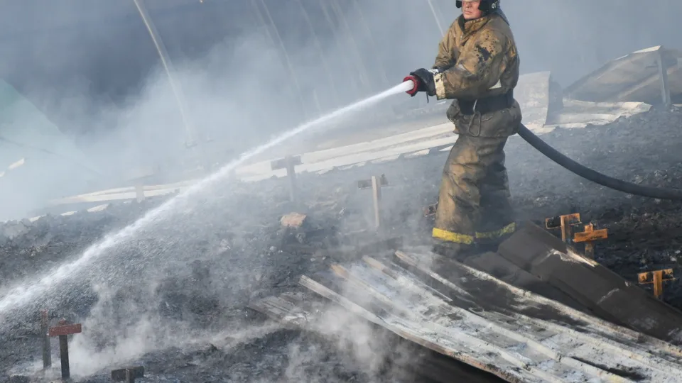 Фото: ТАСС/Евгений Епанчинцев