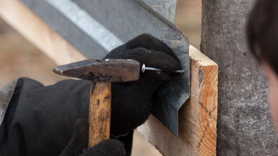 Фото: Медиаархив Подмосковья