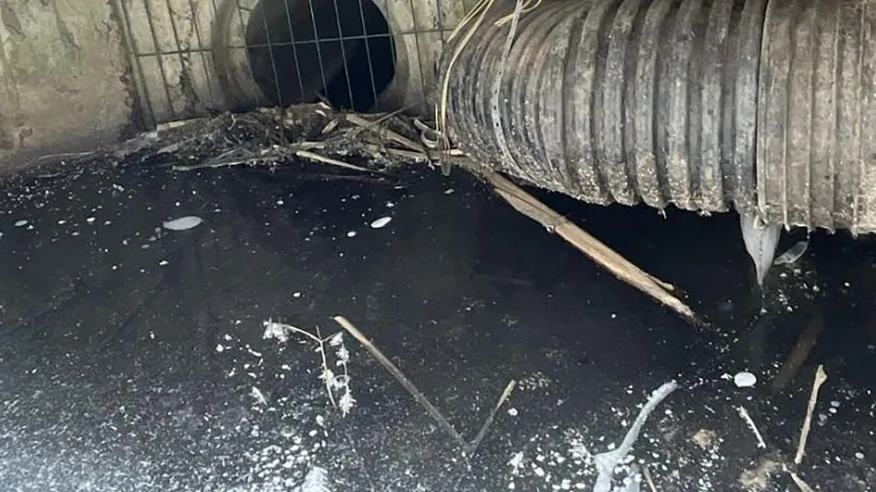 Фото: Министерство экологии и природопользования Московской области