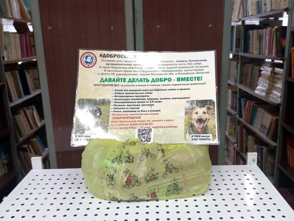 Фото: REGIONS/Олег Книжник&nbsp;