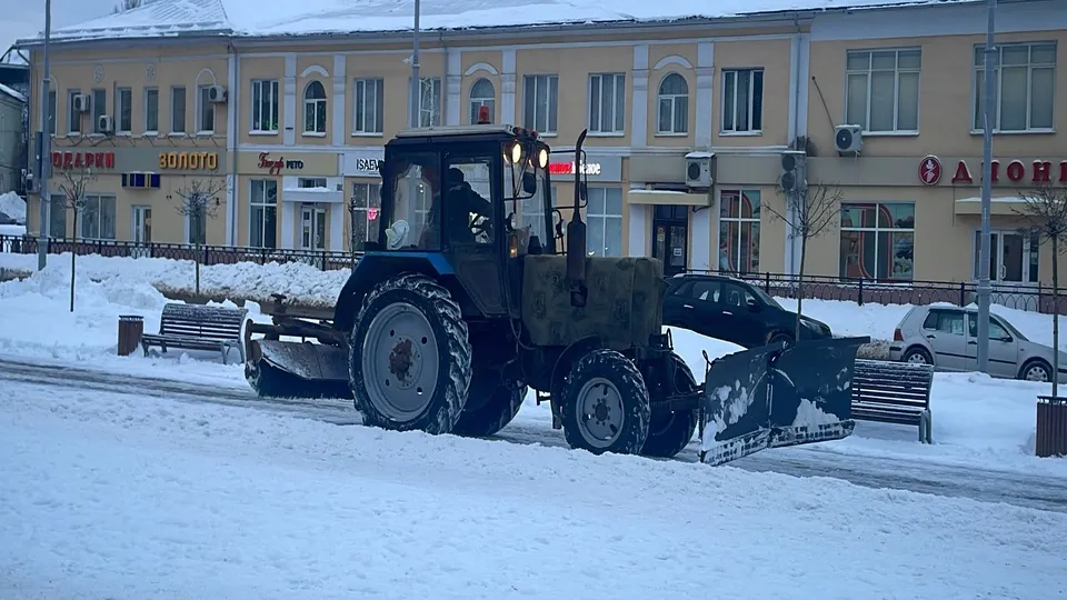 Фото: МедиаБанк Подмосковья/Наталья Котова