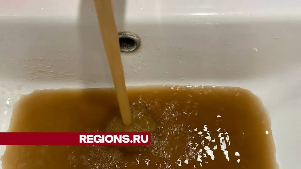 Фото: Дарья Сандлер