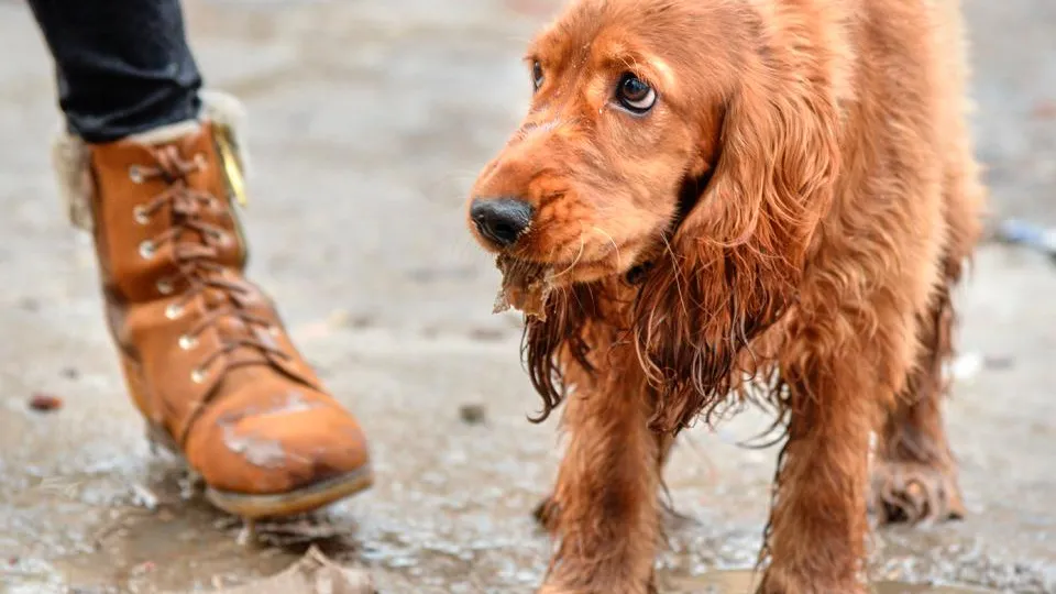 Фото: REGIONS/Дарина Левкина