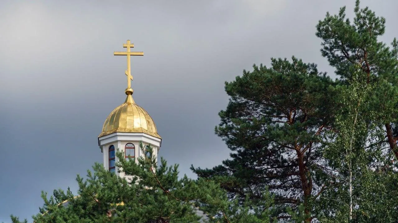 медиасток.рф
