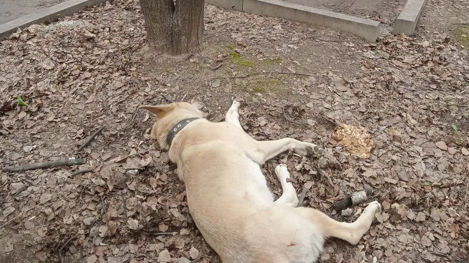 Фото: REGIONS/Наталия Надточая