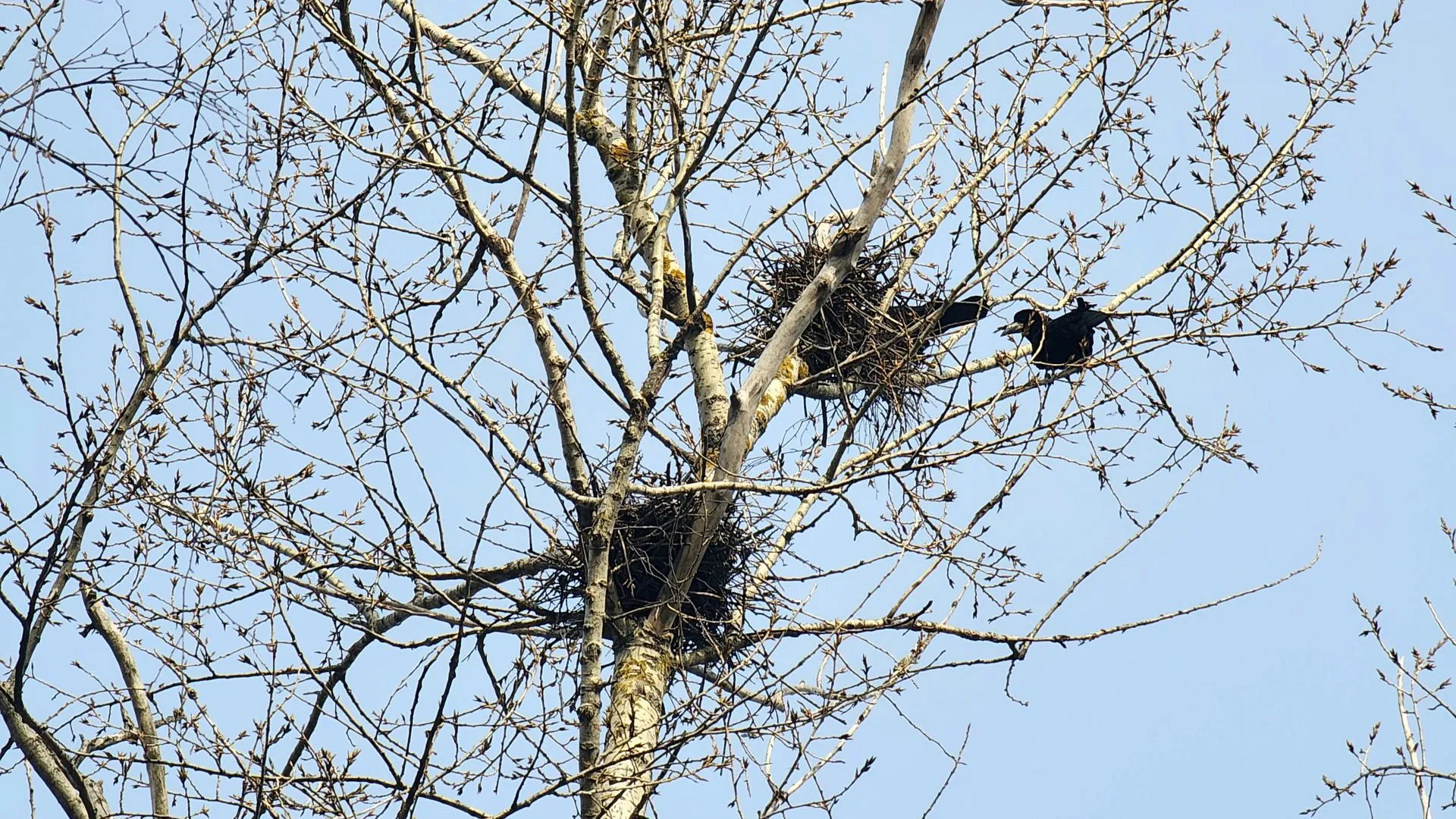 Фото: Мария Панина