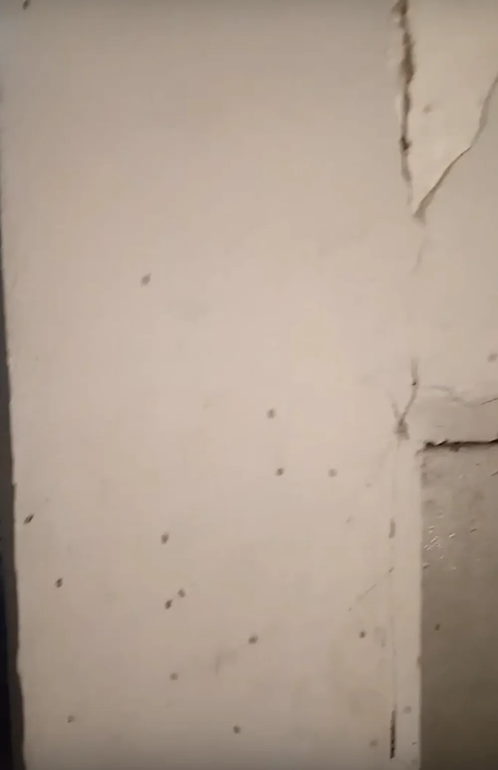 Фото: Подслушано | Дедовск / ВКонтакте