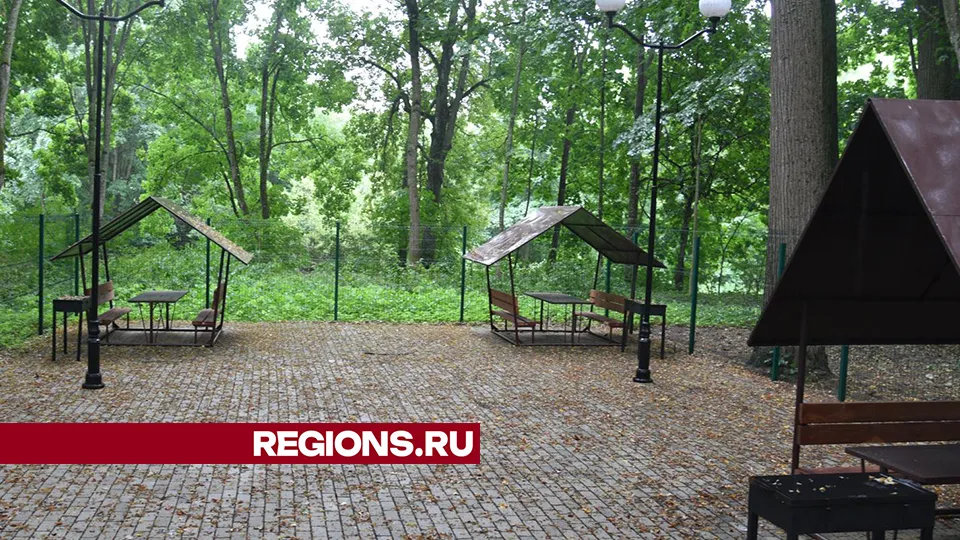 Фото: Владимир Останин