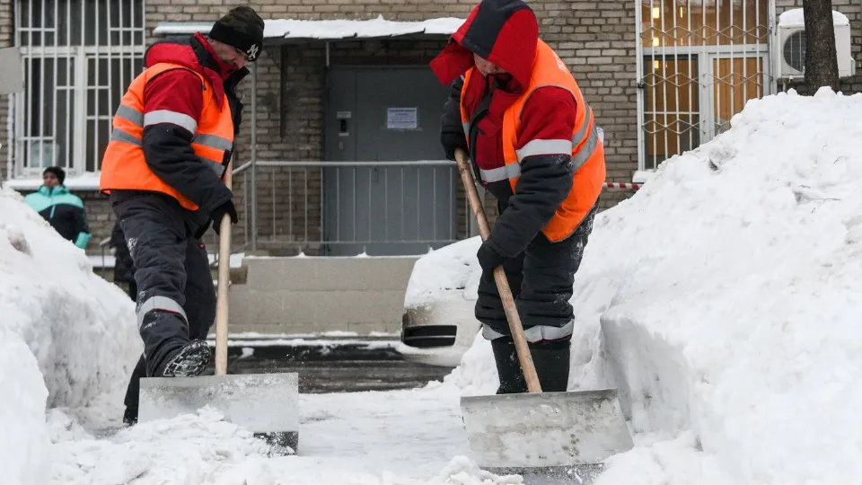Фото: медиасток.рф