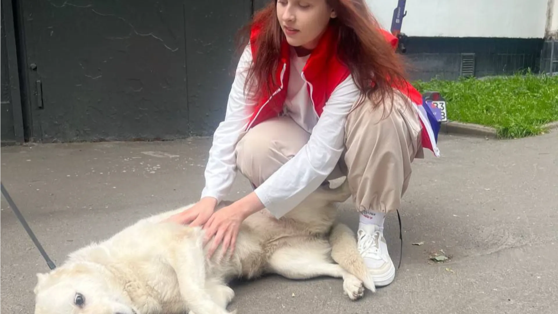 Фото: t.me/regional_center_khimki