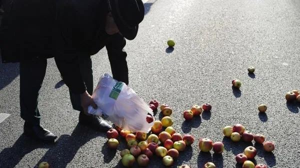 Шестьдесят тонн польских яблок уничтожили в Дмитровском районе