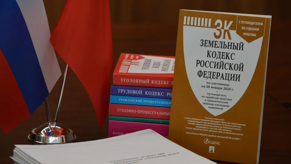 Фото: Уполномоченный по защите прав предпринимателей в МО