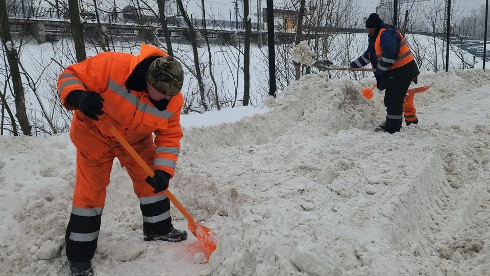 Фото: МедиаБанк Подмосковья/Михаил Раскин
