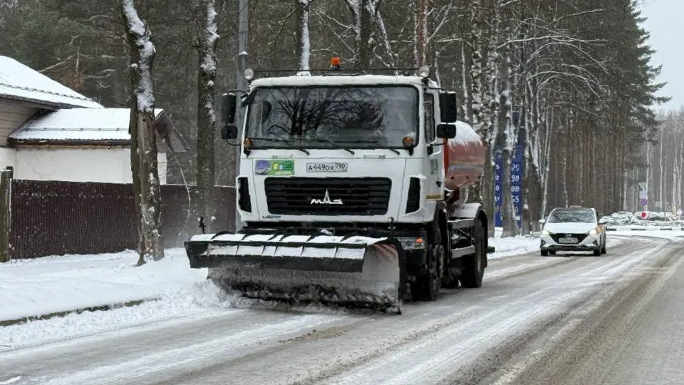 Фото: пресс-служба администрации г.о. Дубна