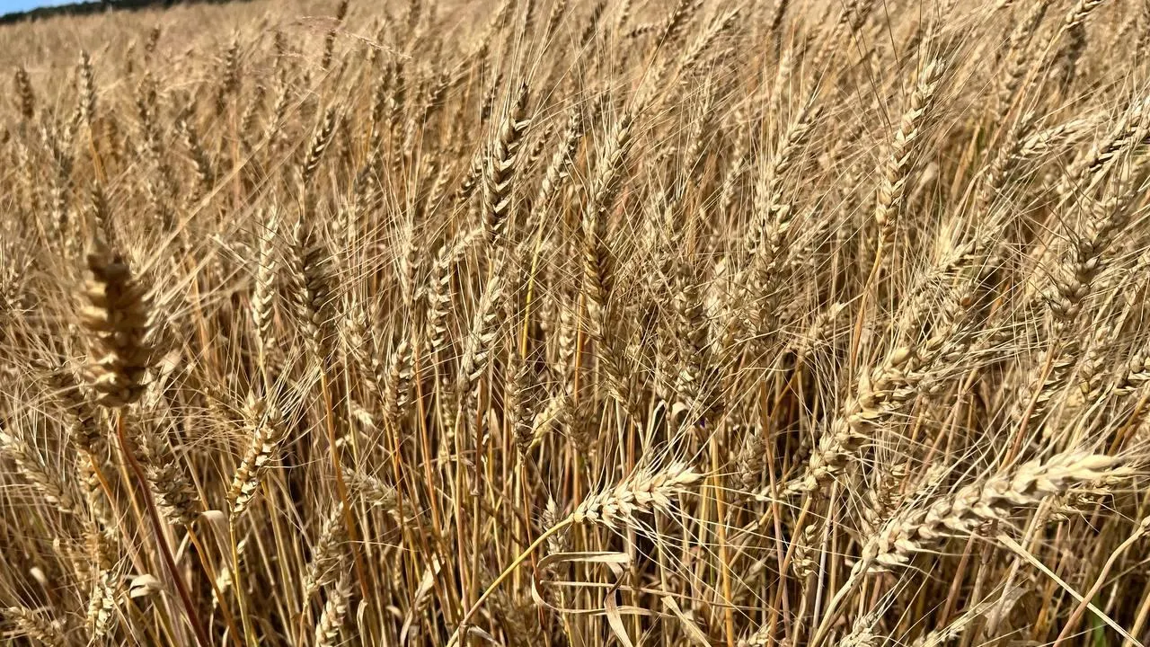 фото: администрация г.о. Зарайск