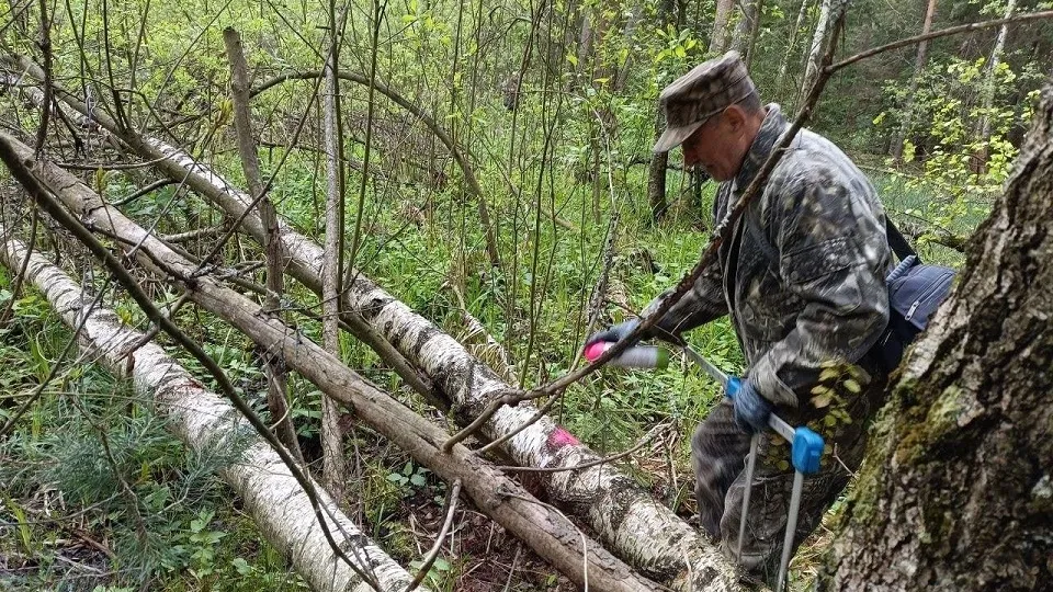 Фото: Орехово-Зуевский филиал ГАУ МО «Мособллес»