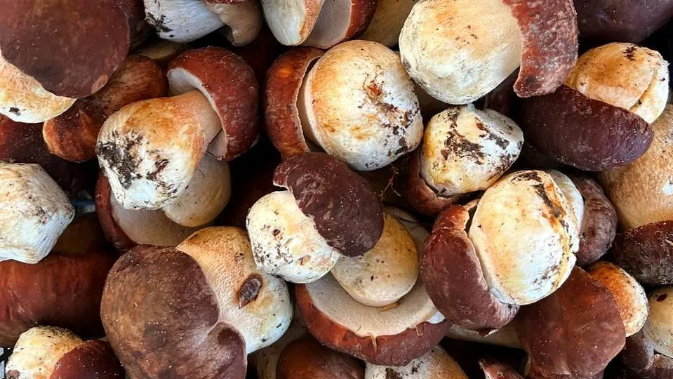 Фото: министерство сельского хозяйства и продовольствия Московской области