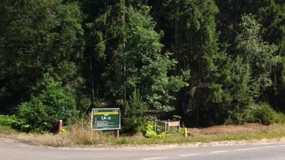Фото: Комитет лесного хозяйства Московской области