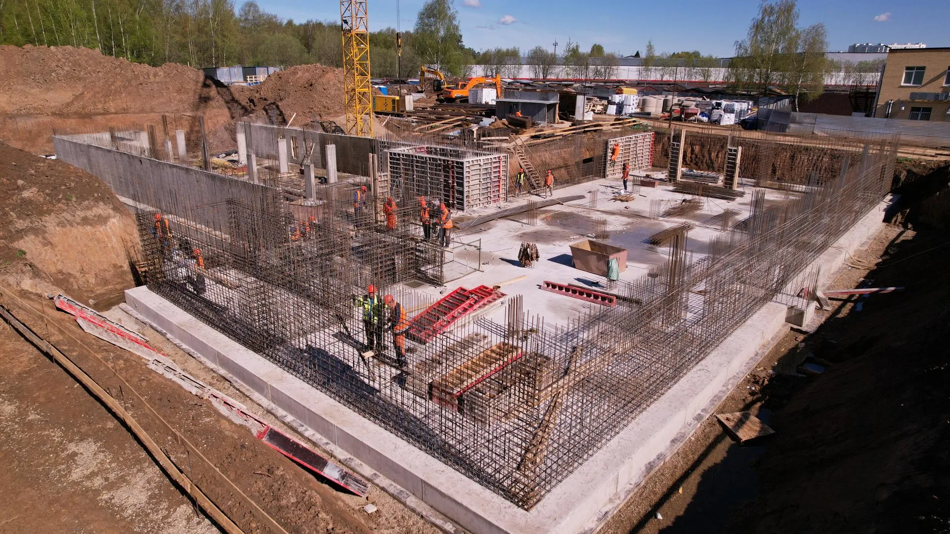 Дарья Московцева