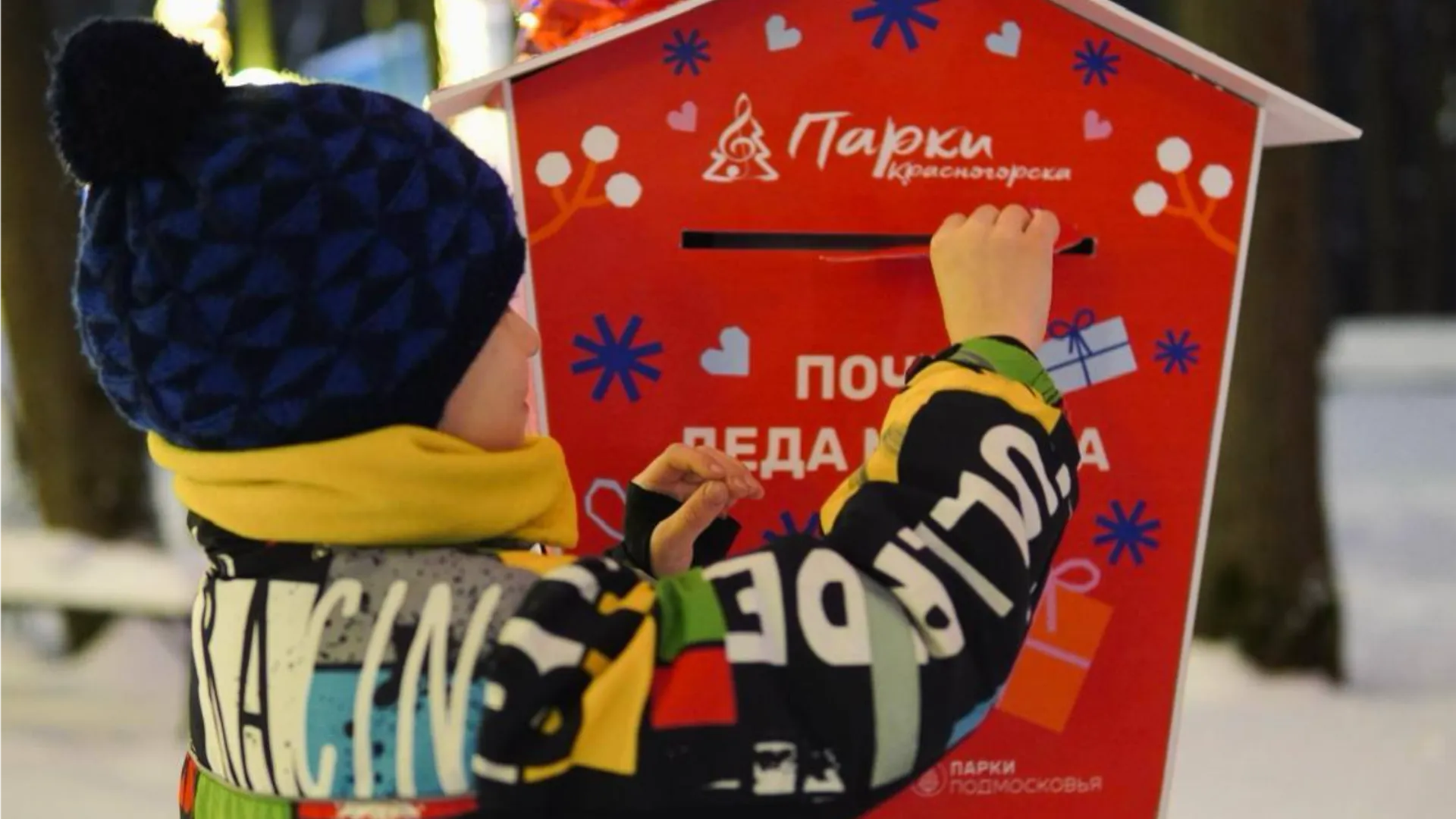 Фото: пресс-служба администрации г. о. Красногорск