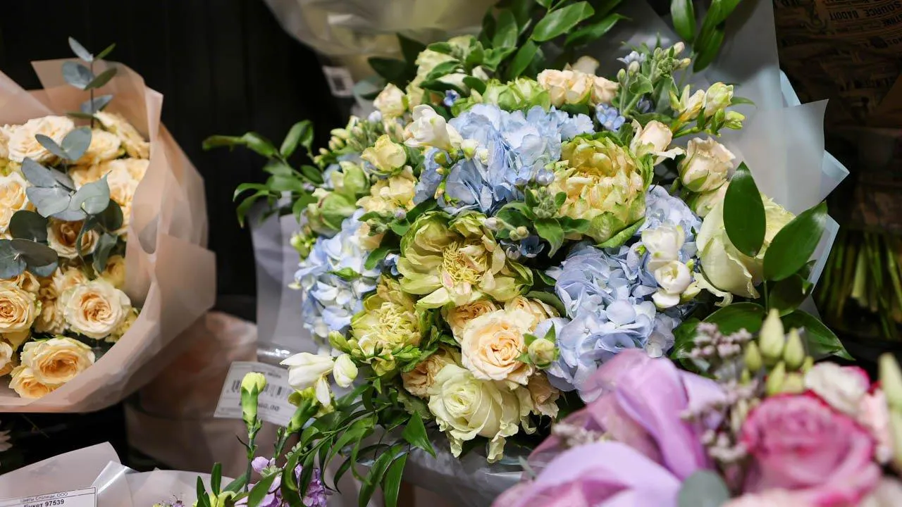 REGIONS/Роман Малышенко