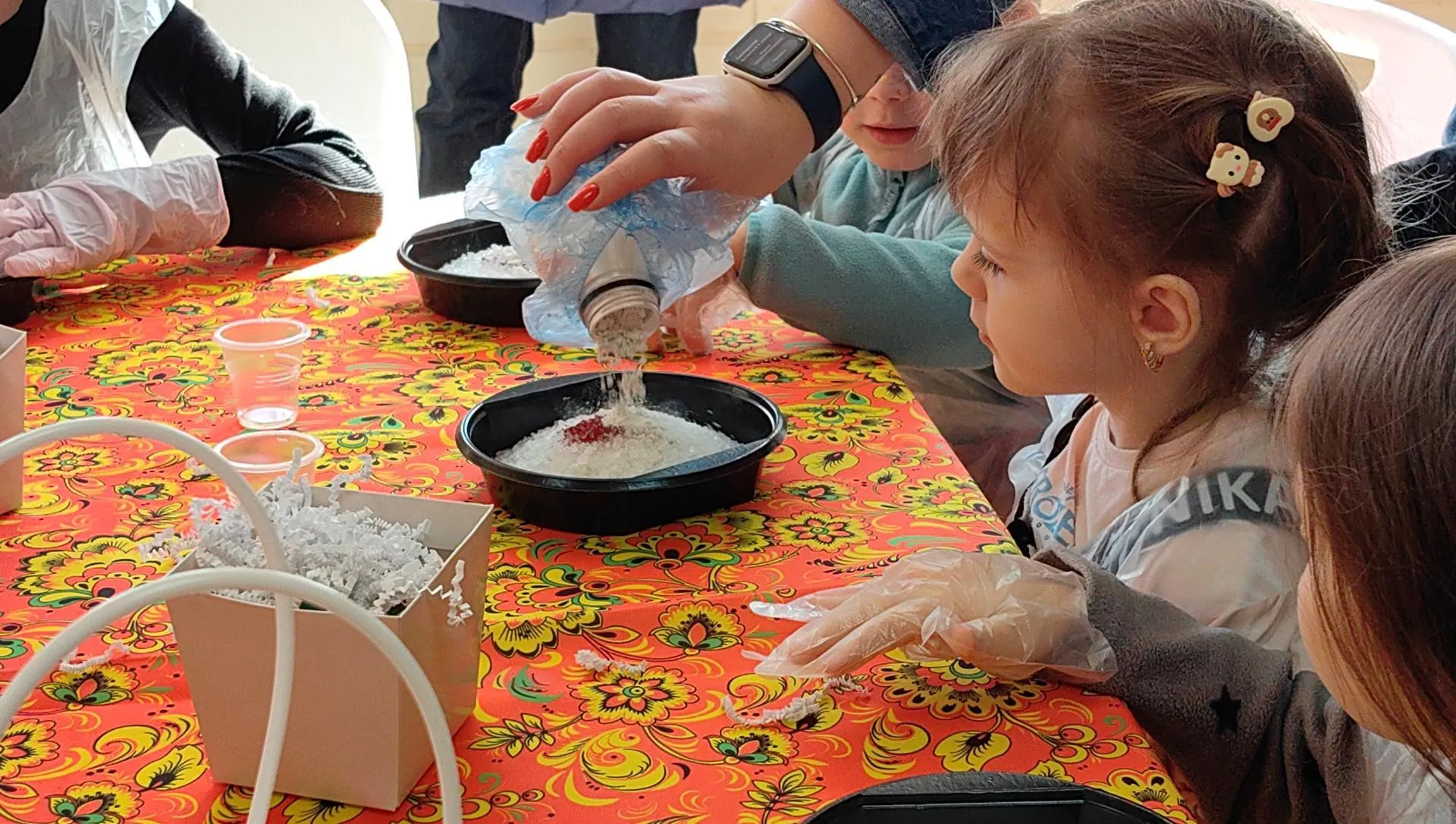 Елена Катасонова