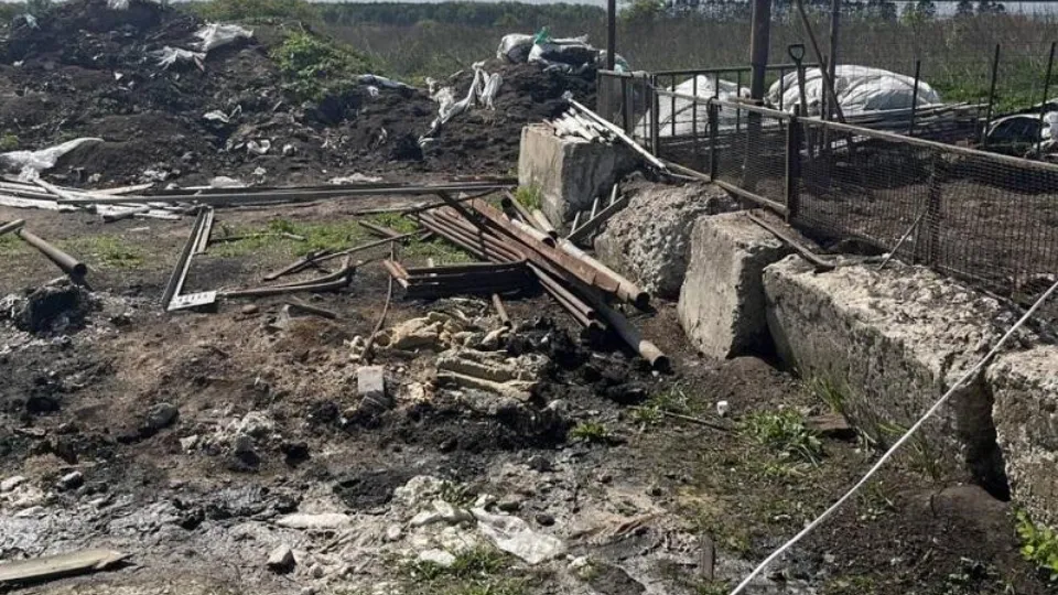 Фото: Министерство экологии и природопользования Московской области