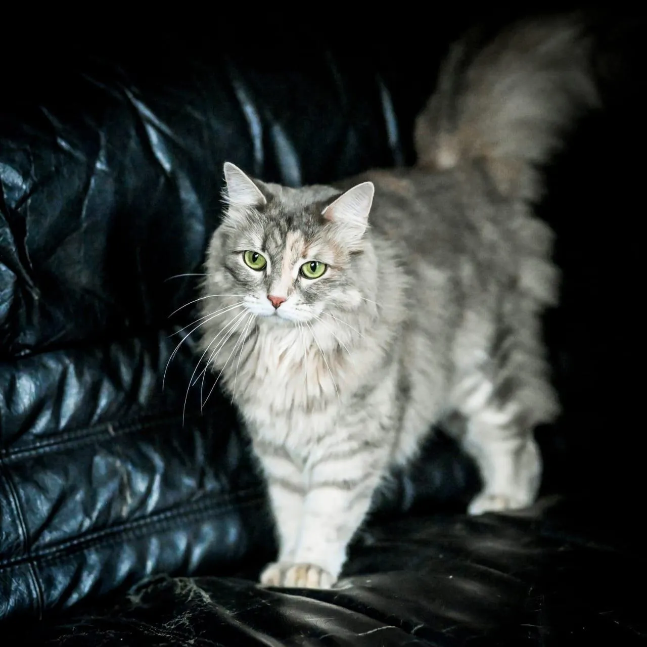 Фото: Истра | Искра! / ВКонтакте