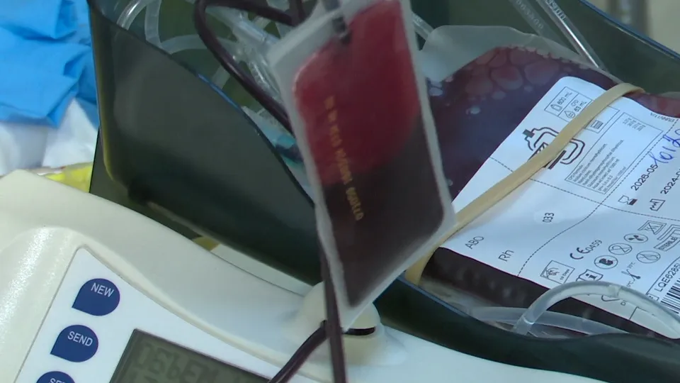 Источник: Медиабанк Подмосковья/Ксения Казакова