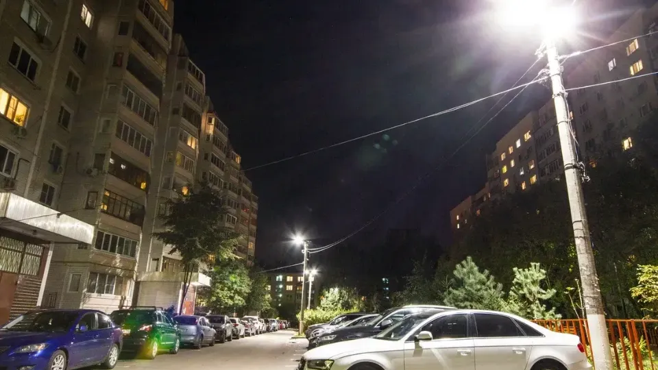 Фото: Министерство благоустройства Московской области