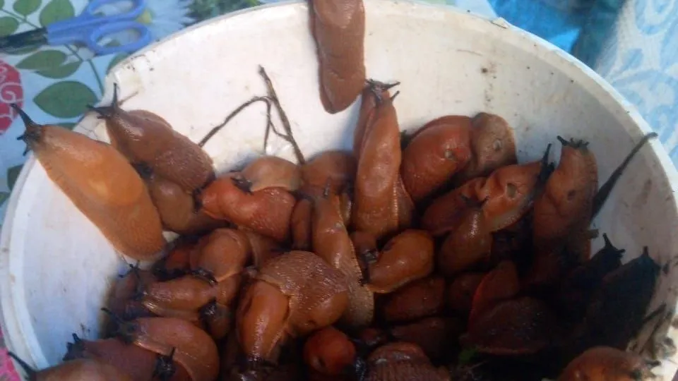 Фото: Наталья Л.