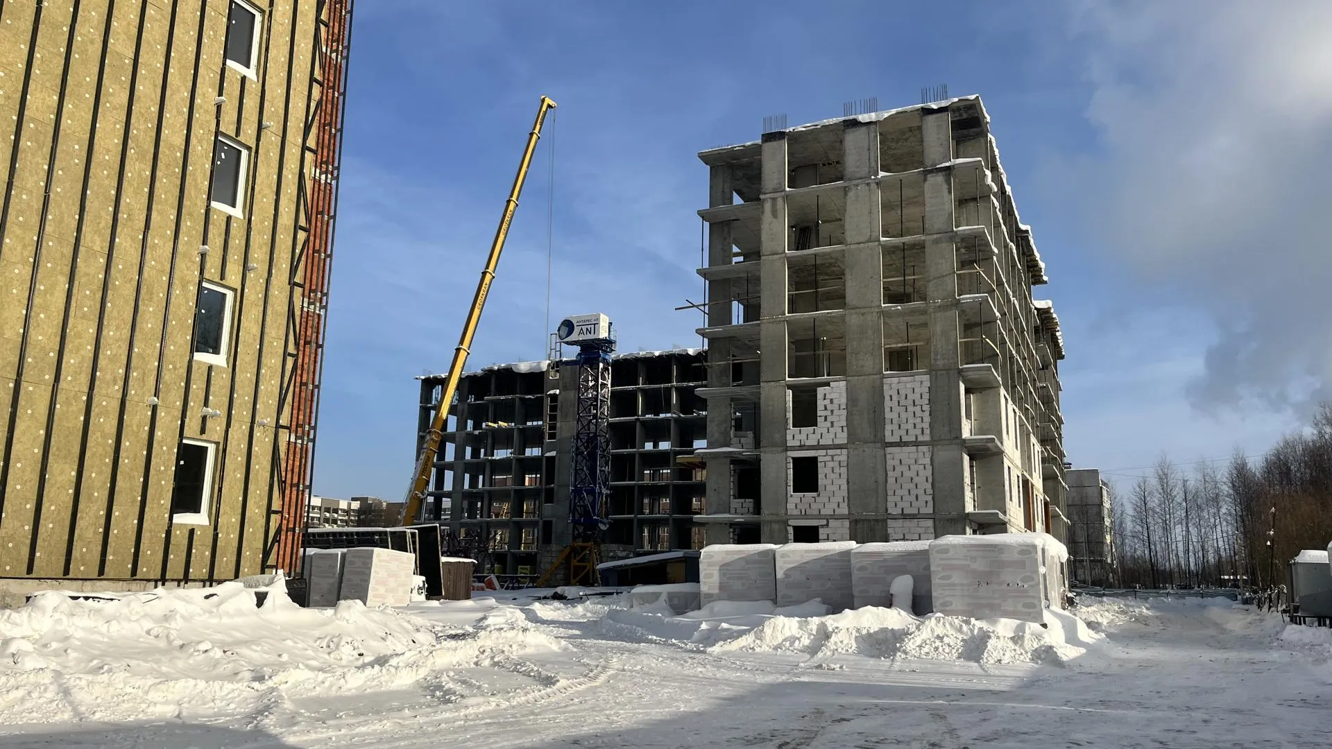 Фото: МедиаБанк Подмосковья/Ангелина Стельмух