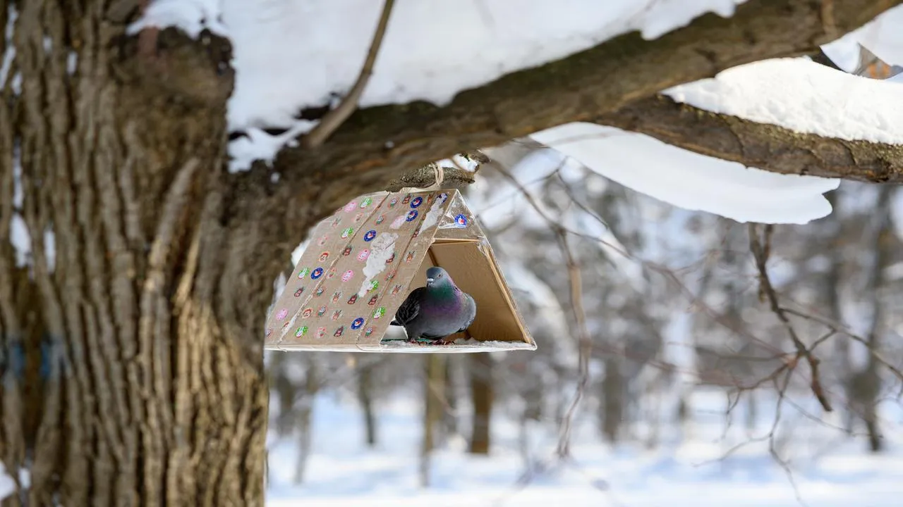 медиасток.рф