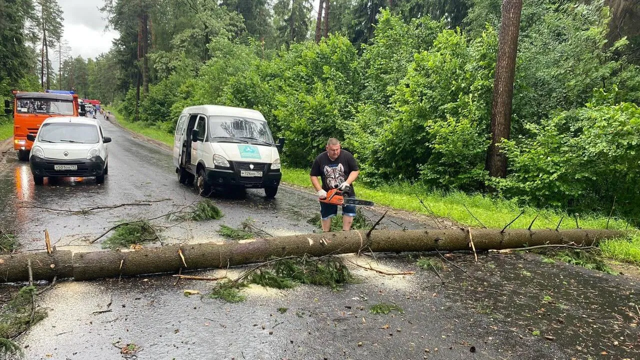 Фото: Минтранс МО