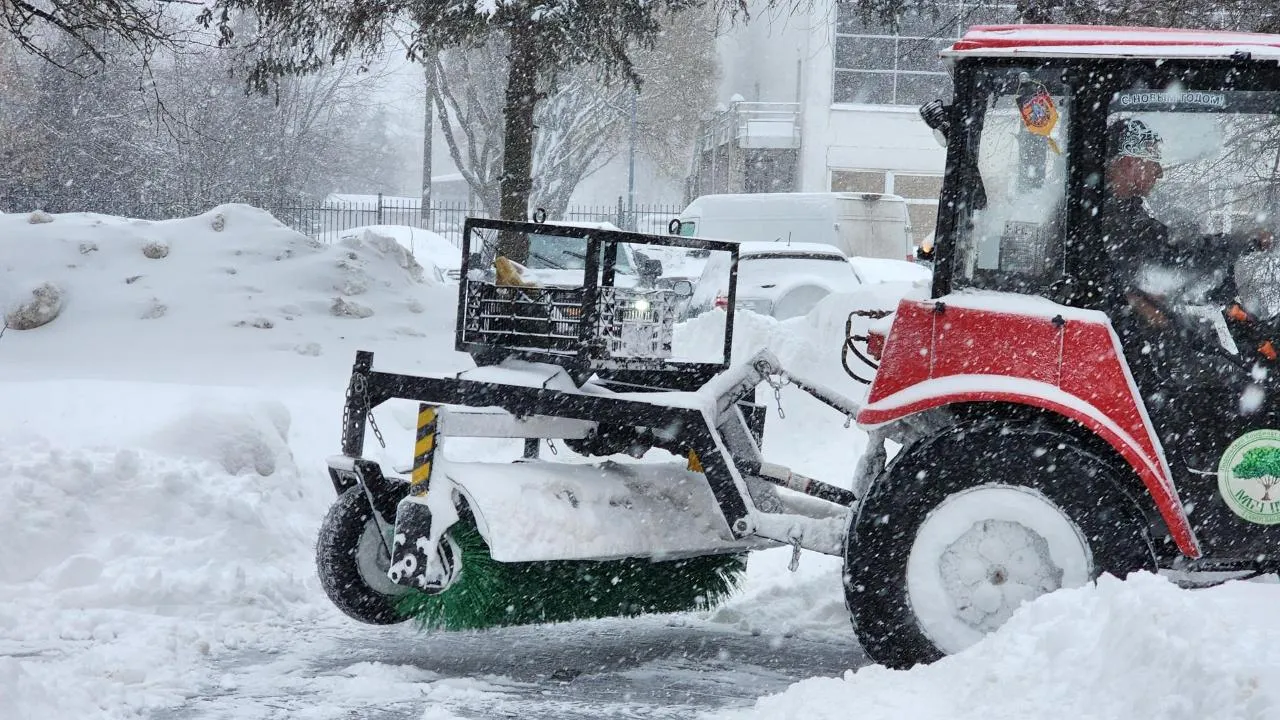 REGIONS/Мария Шигорева