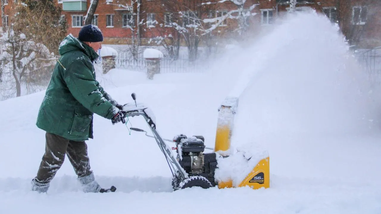 В парках Подмосковья за три дня убрали 1 млн кубометров снега