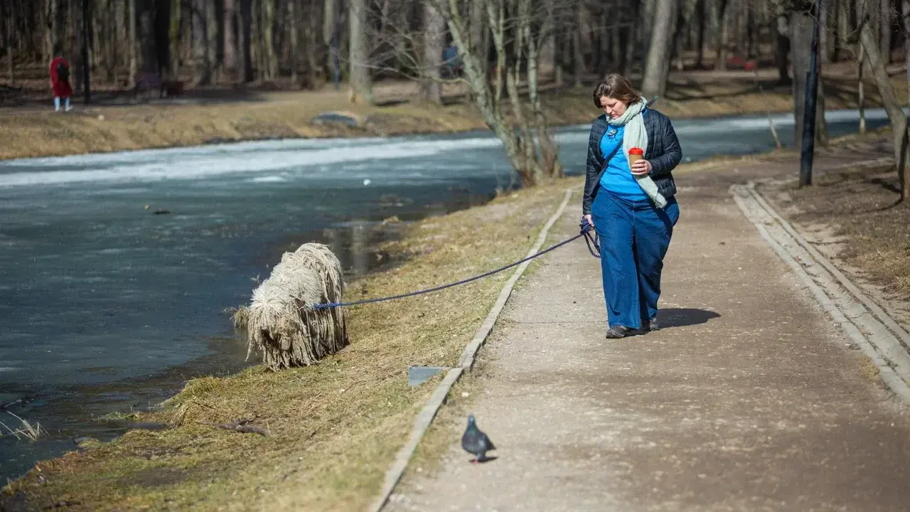 Министерство благоустройства Московской области