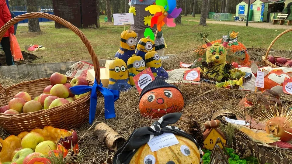 Фото: пресс-служба администрации г.о.Котельники