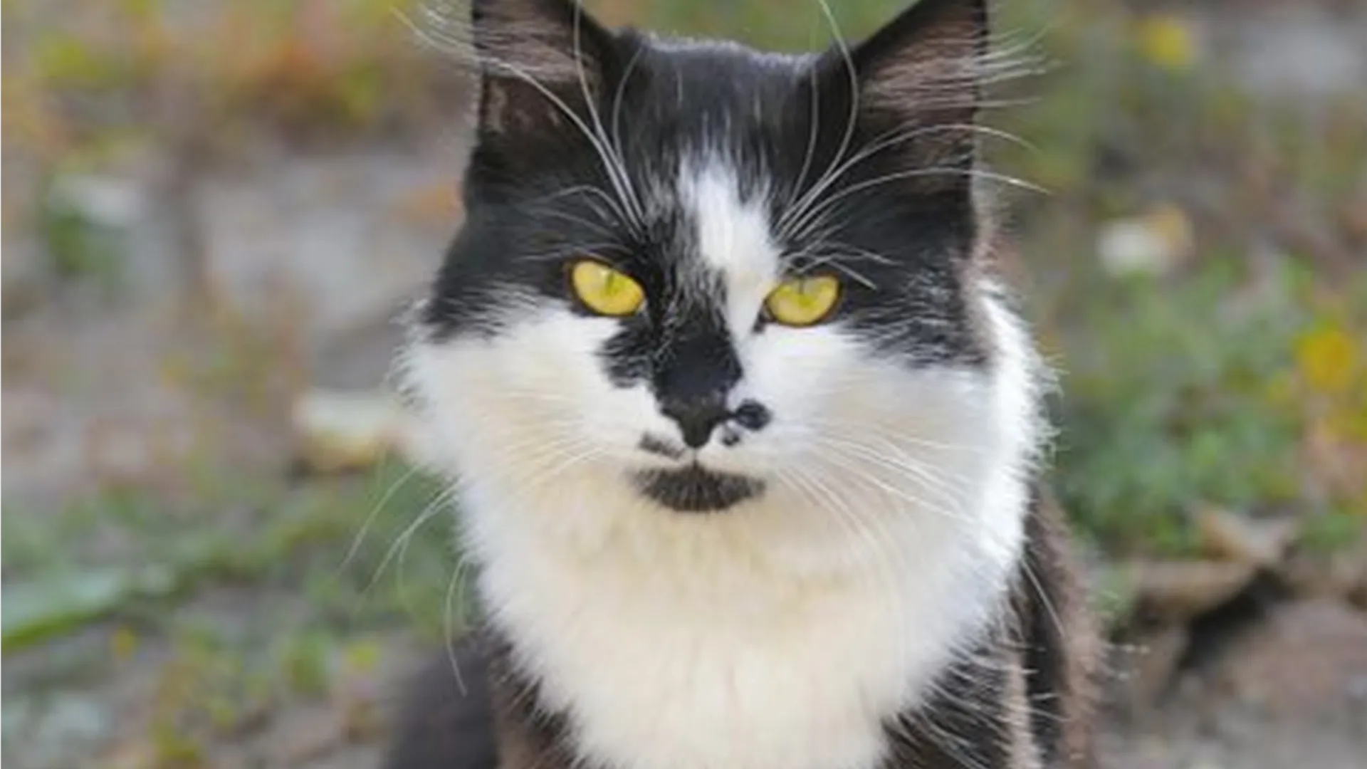 Фото: медиасток.рф