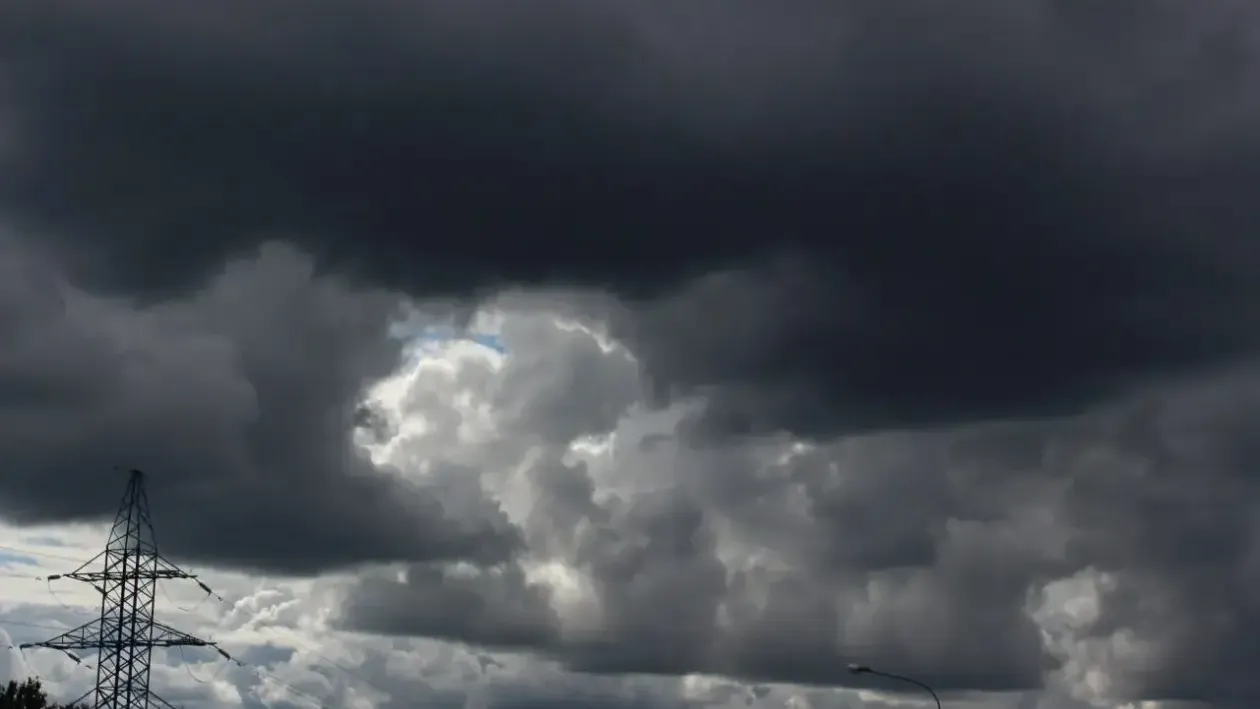 REGIONS/Анастасия Широкая